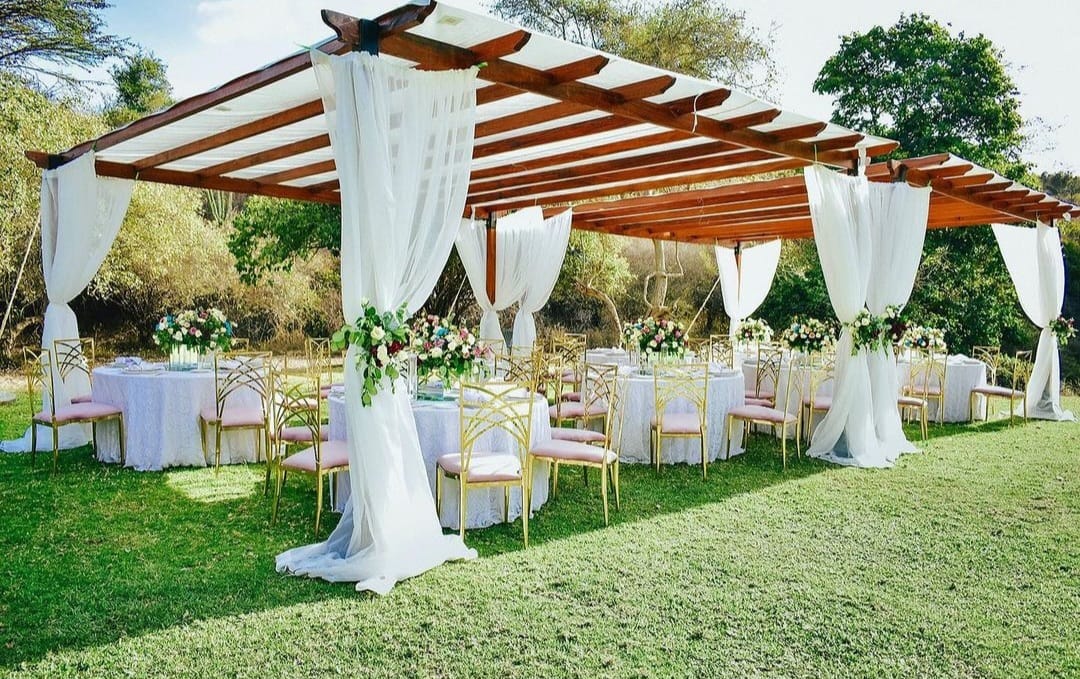 Pagola Tents for Hire