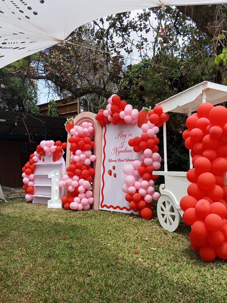 Grand Double Door Balloons Backdrop, Gift Stand and Display Table with Balloons Installation for Hire - view 4