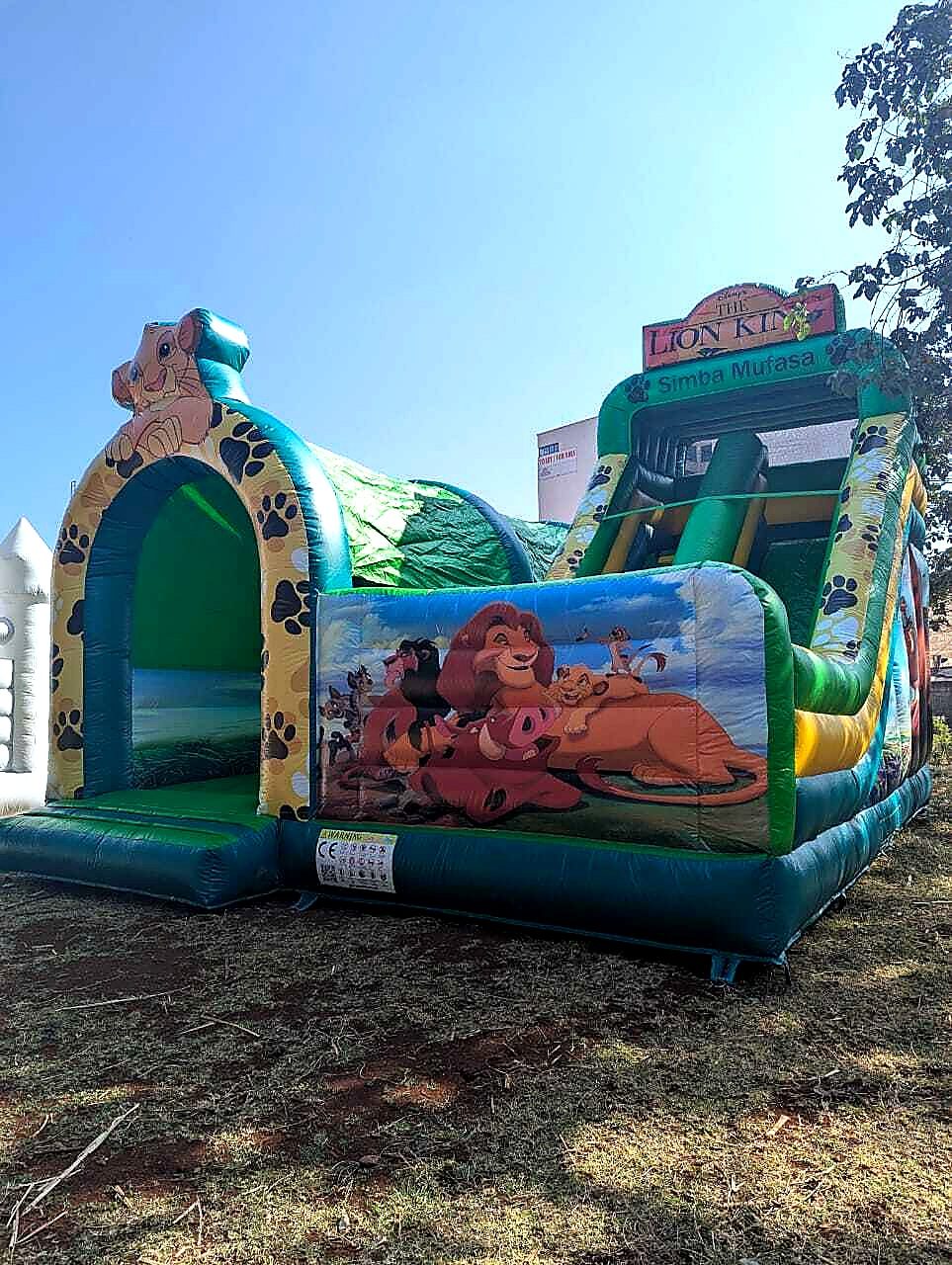 Lion King Jungle Theme for hire at kids birthday party in Nairobi - view 3