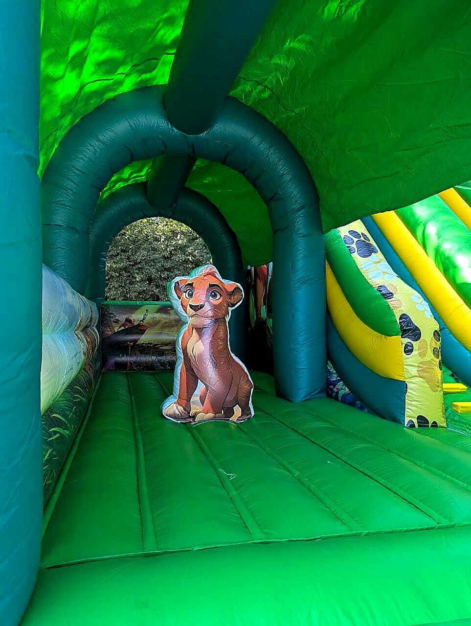 Lion King Jungle Theme for hire at kids birthday party in Nairobi - view 5