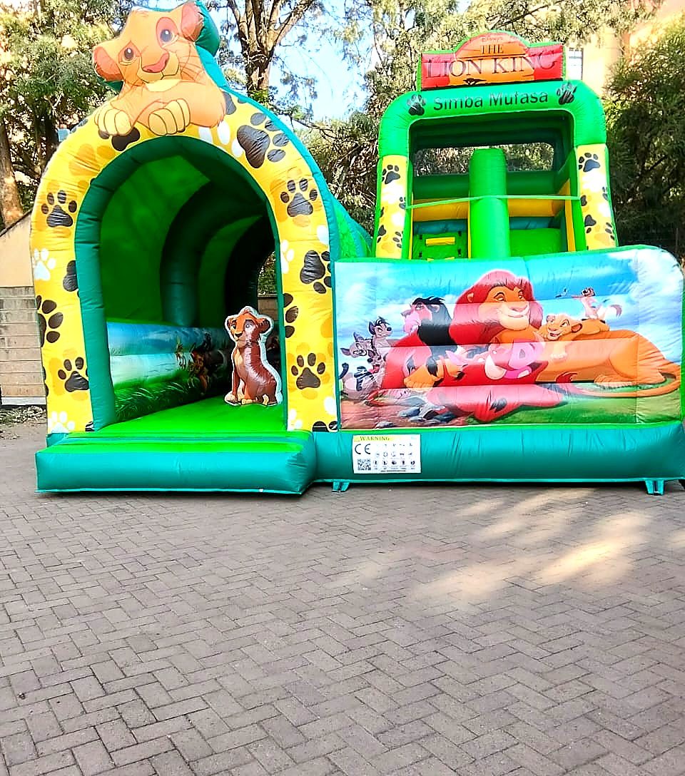 Lion King Jungle Theme for hire at kids birthday party in Nairobi