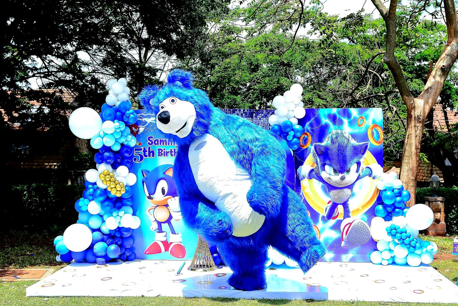 Mascots for hire at kids birthday party in Nairobi - view 3