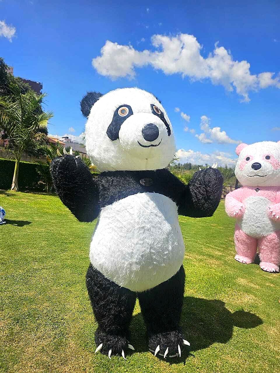 Mascots for hire at kids birthday party in Nairobi - view 4