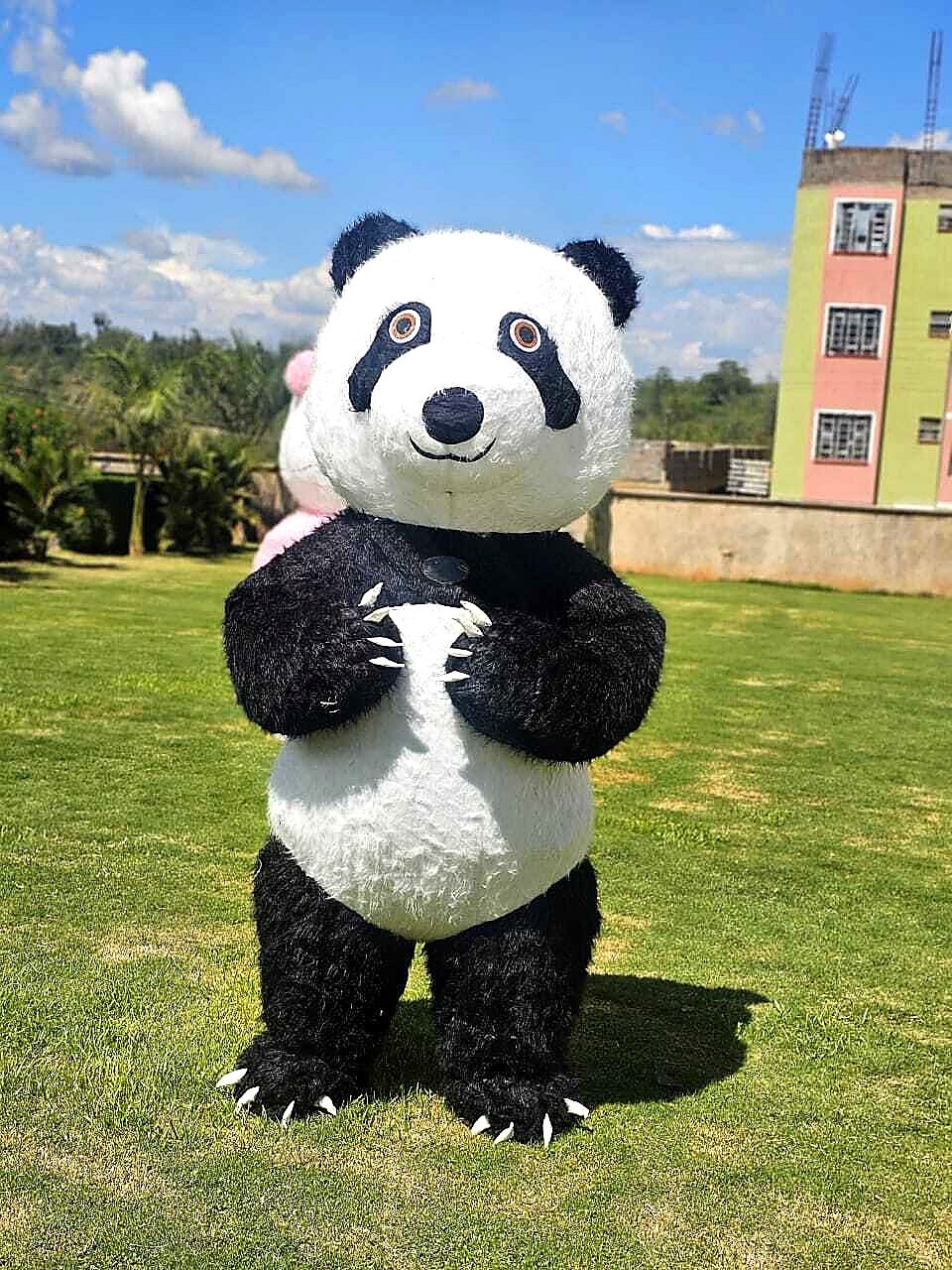 Mascots for hire at kids birthday party in Nairobi - view 5