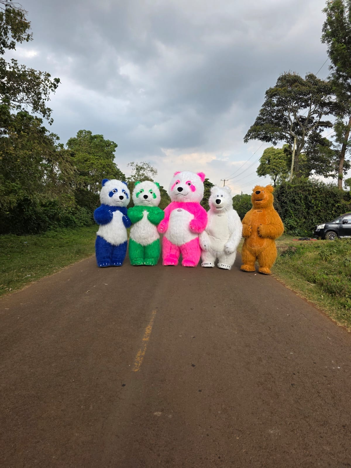 Mascots for Hire for hire at kids birthday party in Nairobi - view 7