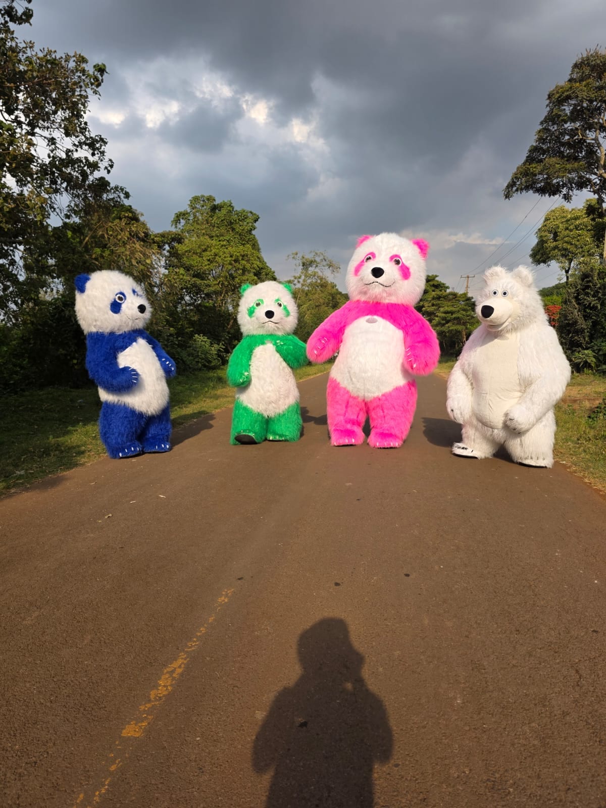 Mascots for Hire for hire at kids birthday party in Nairobi - view 8
