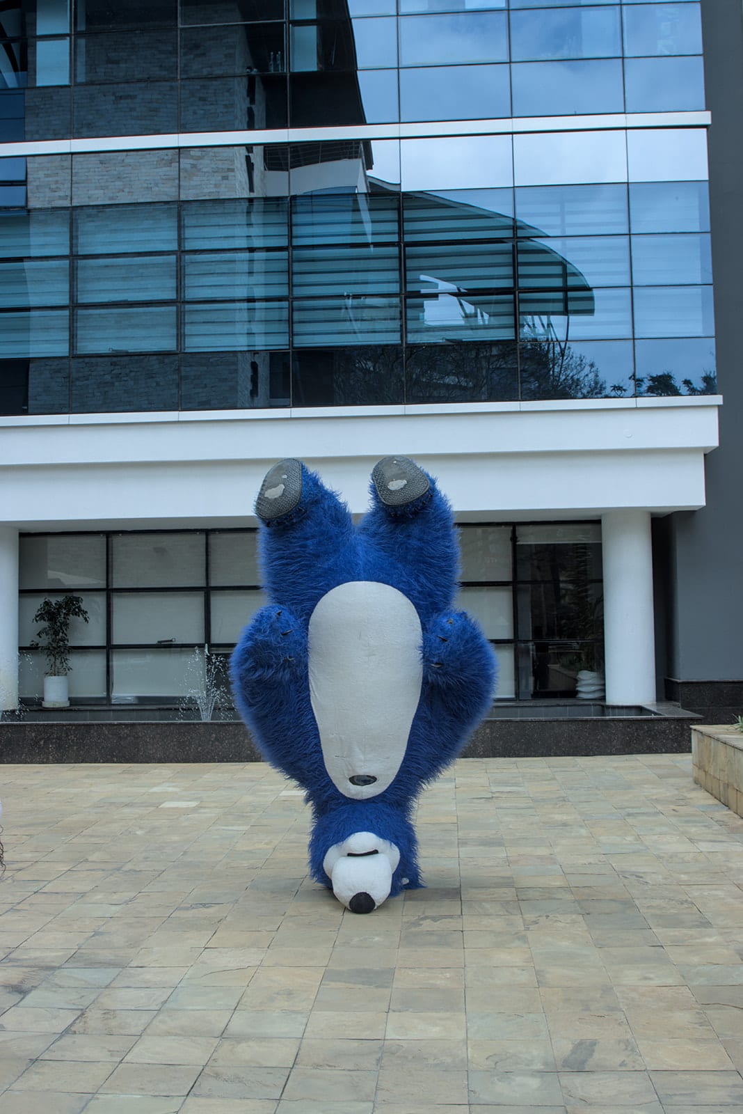 Mascots for Hire for hire at kids birthday party in Nairobi - view 10