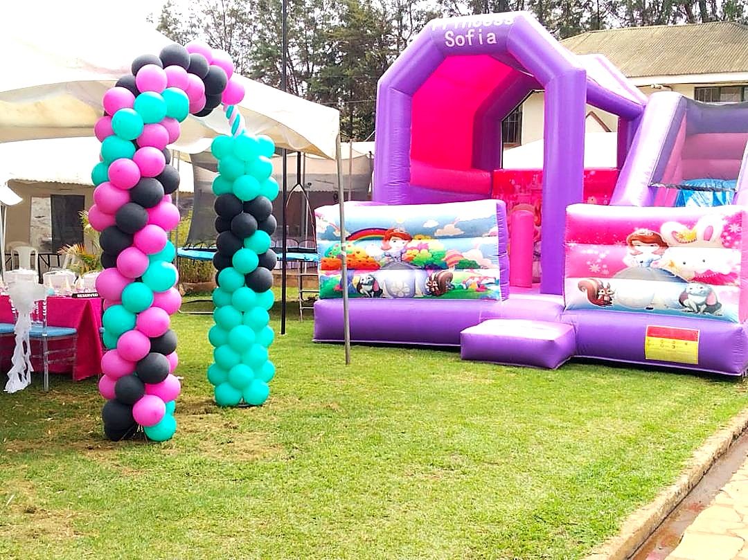 Sofia the First Theme Bounce House for hire at kids birthday party in Nairobi - view 4