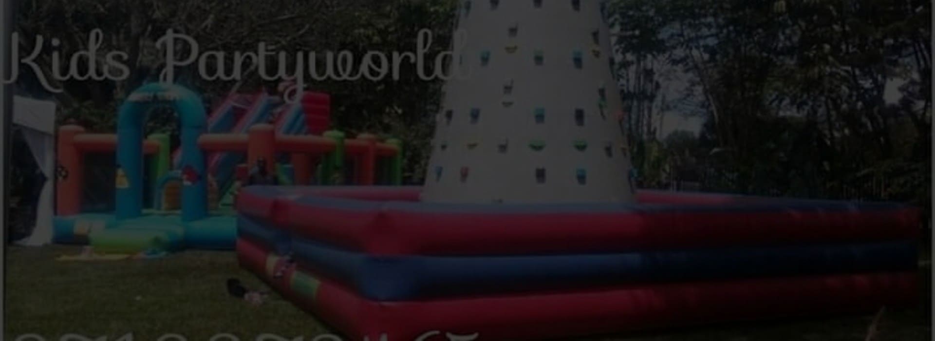 Inflatable Climbing Wall for Kids Parties for a kids birthday party in Nairobi - view 3