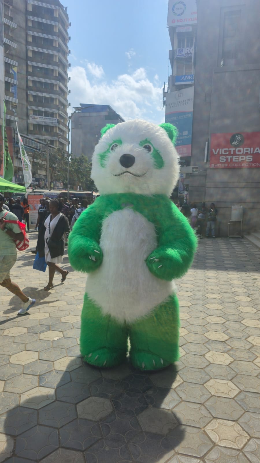 Mascots for Hire for a kids birthday party in Nairobi - view 12