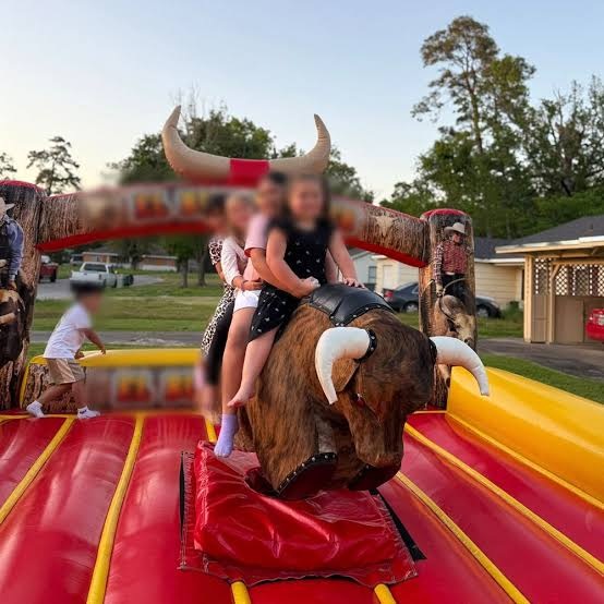 Mechanical Rodeo Bull for Hire - view 2
