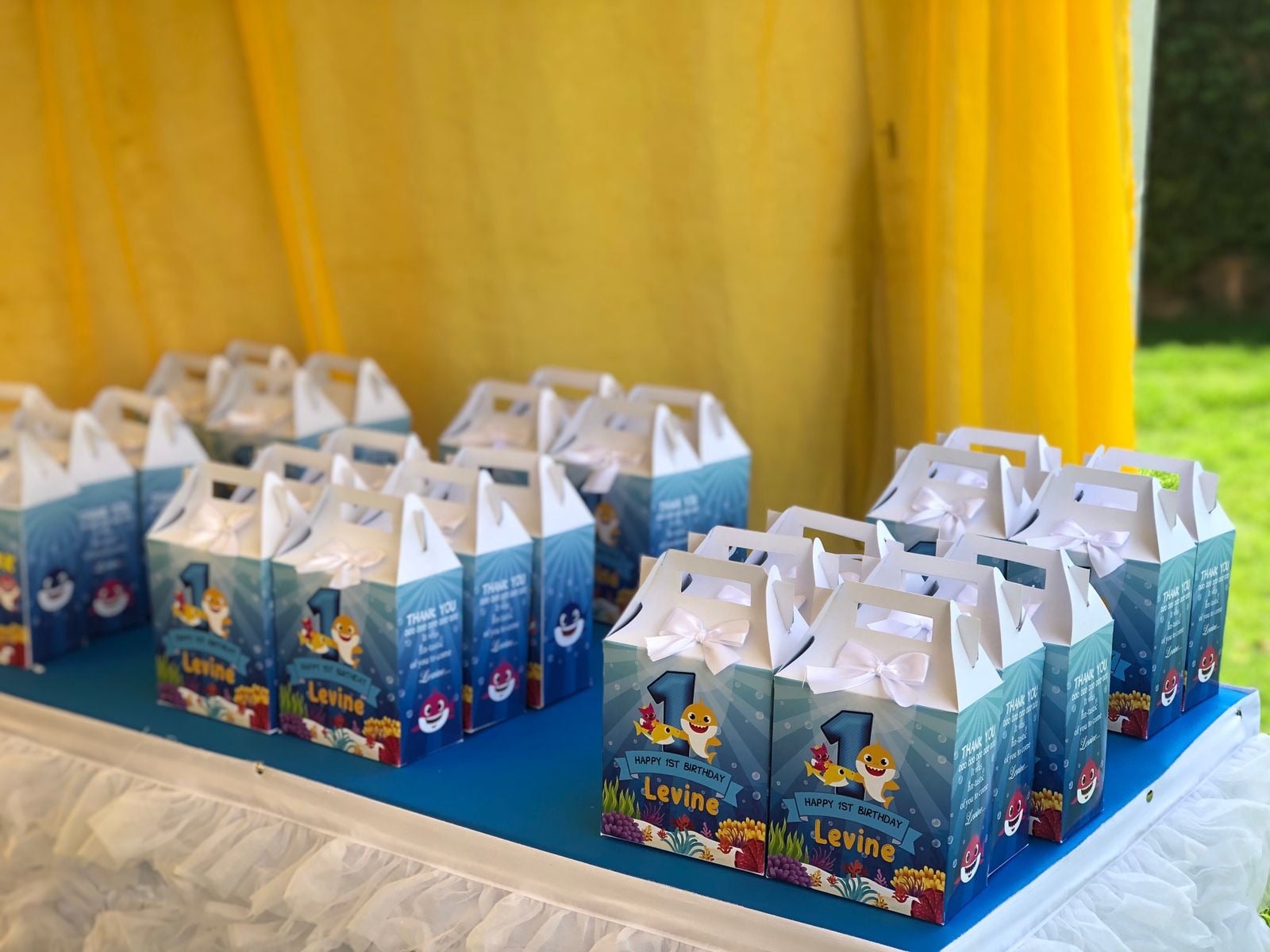 Customised Party Supplies for a kids birthday party in Nairobi - view 2