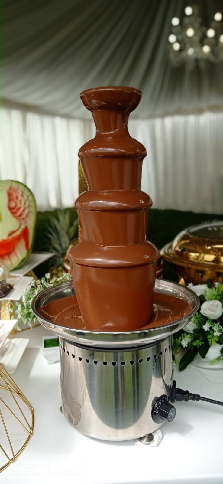 Chocolate Fountain for Hire for a kids birthday party in Nairobi - view 3