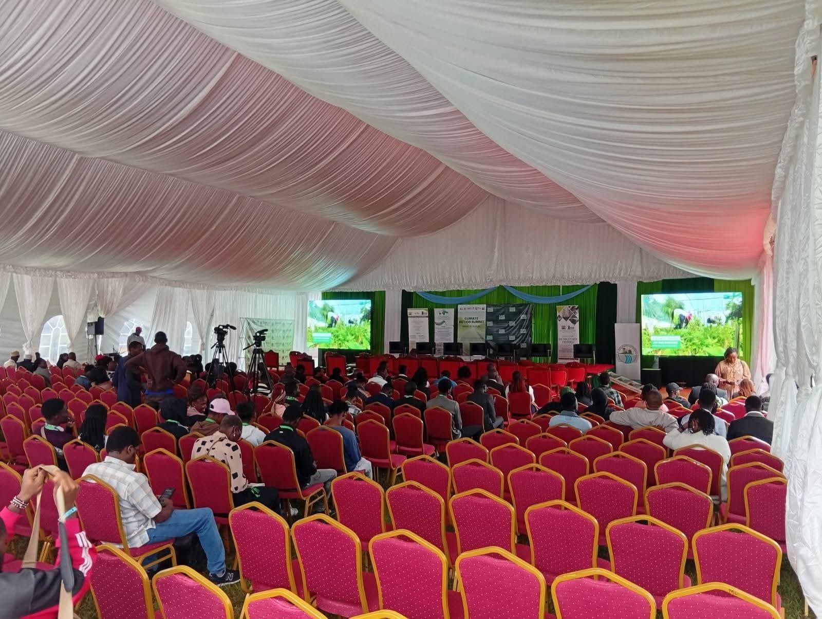 Banquet Chairs for a kids birthday party in Nairobi - view 6