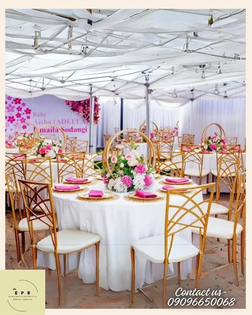 Chameleon Chairs for a kids birthday party in Nairobi - view 5