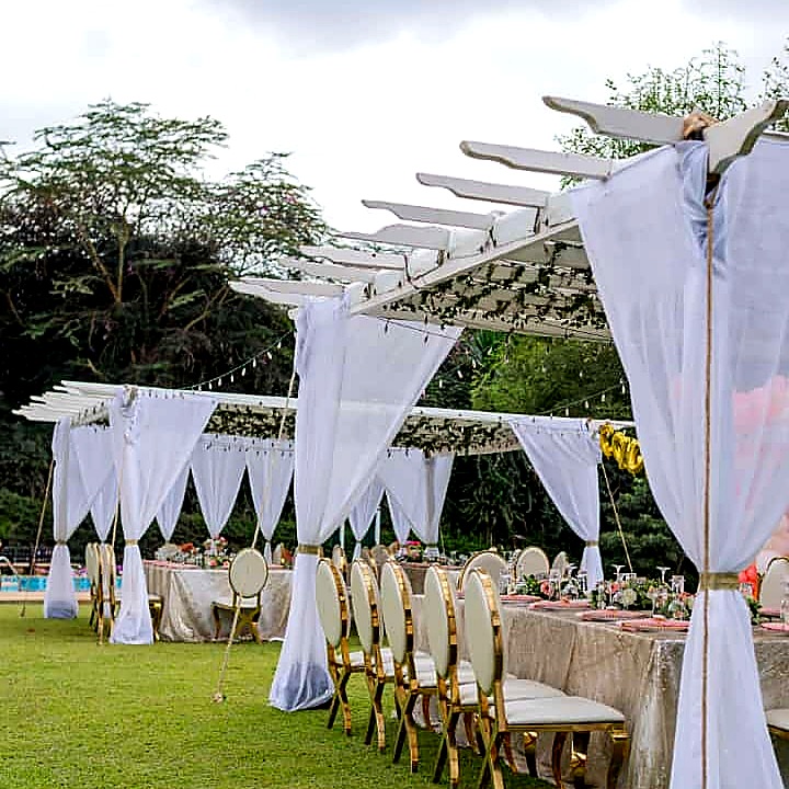 Pagola Tent 6x6m with Greeneries – 50 Seater shading a kids birthday party in Nairobi - view 3