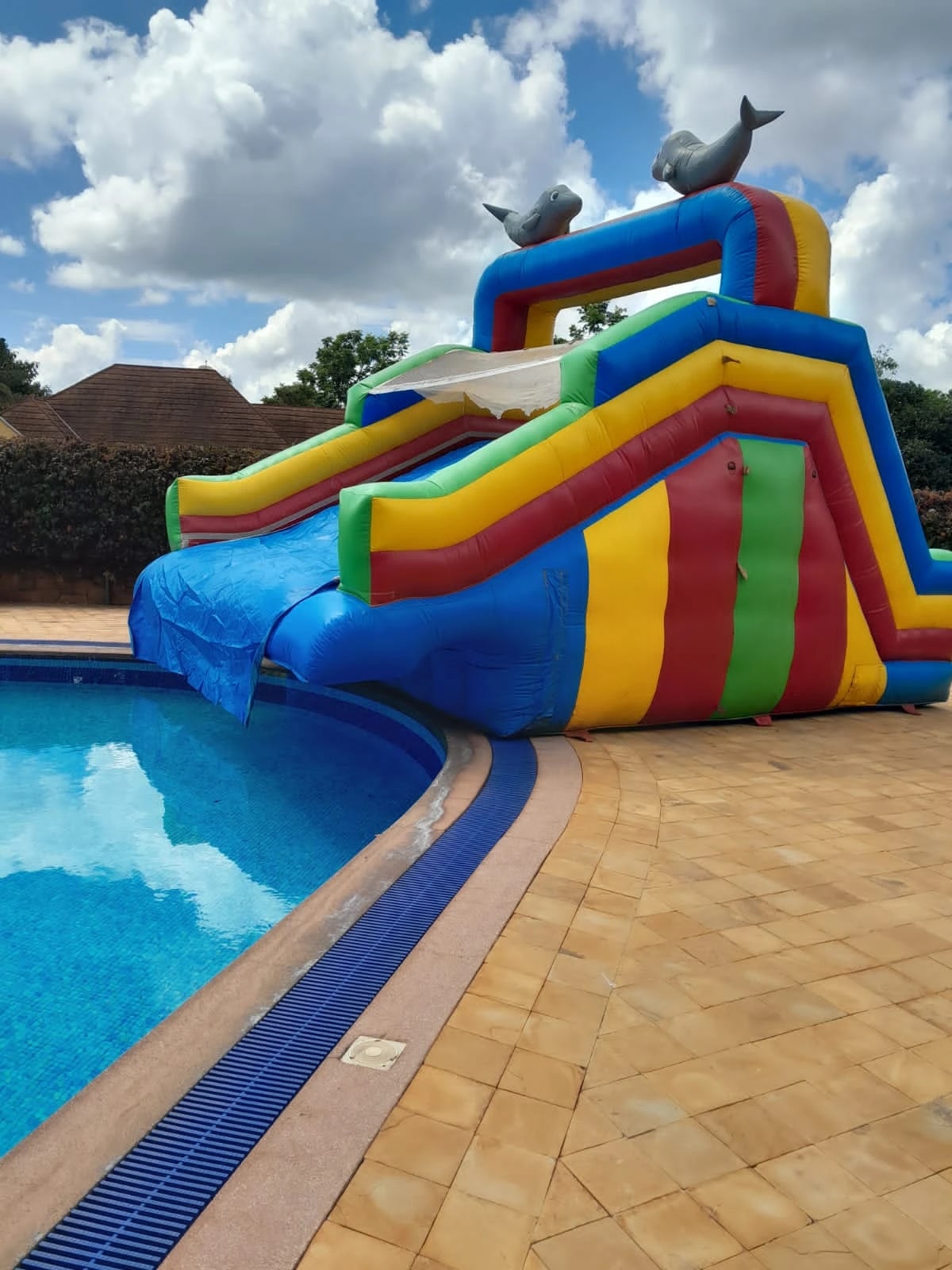 Dolphin Slide-to-Pool Water Slide for Hire for a kids summer pool party in Nairobi - view 2
