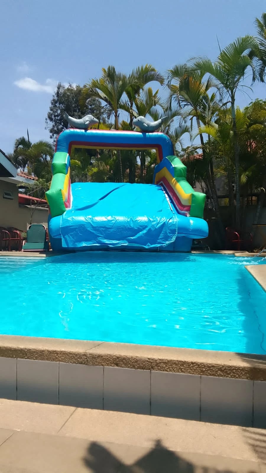 Dolphin Slide-to-Pool Water Slide for Hire for a kids summer pool party in Nairobi